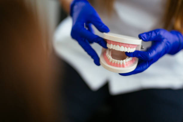 Best Pediatric Dentistry  in Seffner, FL